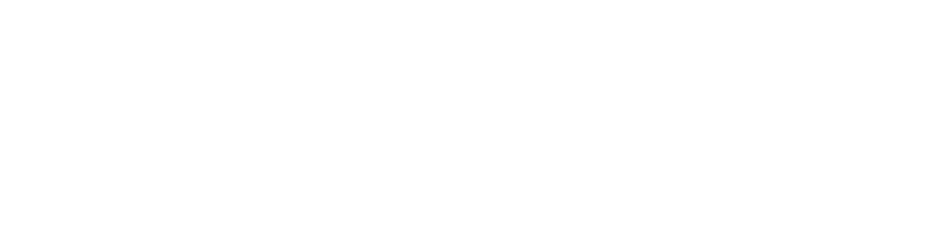 ES Financiado por la Union Europea RGB WHITE Outline .png